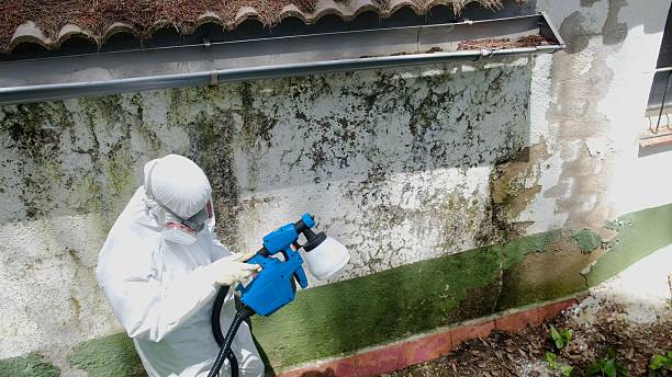 Trusted Mold Testing service in Garrett, WA - Cheap Mold Removal